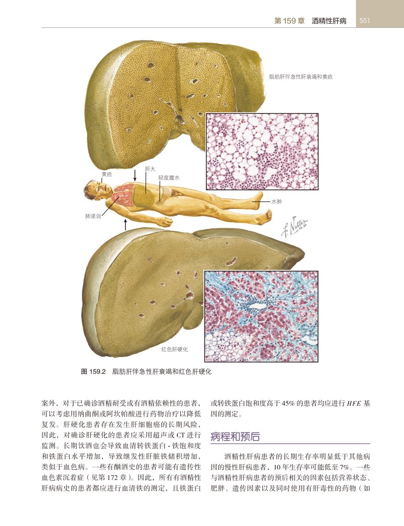 聚焦胃肠健康：北医胃肠病医院引领行业新风向