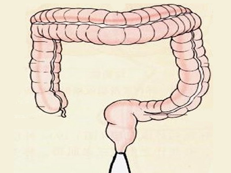 吉林胃肠病医院的诊疗动态：肠道健康不容忽视